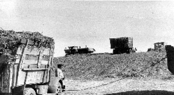 Уборка урожая